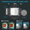 Neewer 530 LED Video Light, Dimmable Bi-Color Photography Lighting Kit With APP Intelligent Control System Professional - Image 3
